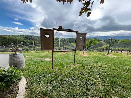 Peiserhof in der Südsteiermark: Aussicht auf die Weinberge mit Fenster und Fensterläden mit Herz