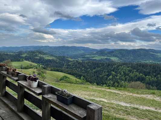 Weite Aussicht auf Hügel, Wälder und Wiesen von der Remschniggalm in der Südsteiermark