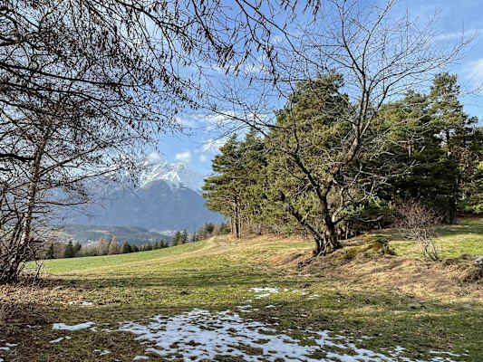 Letzte Schneereste im Naturschutzgebiet Rosengarten.
