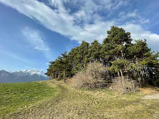 Auch die Nordkette ist vom Naturschutzgebiet Rosengarten wunderbar zu sehen.