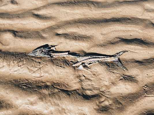 Ana Zirner Colorado River