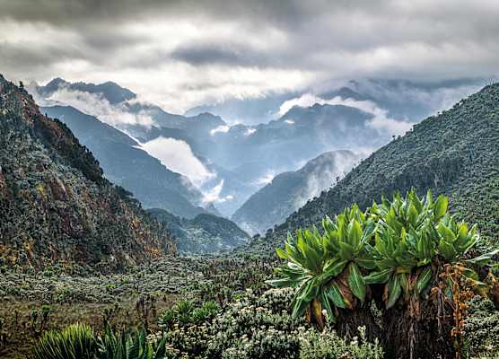 Mondberge Ruwenzori