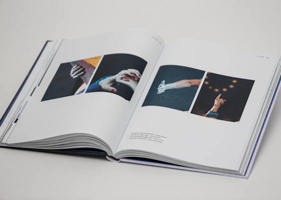Einblick ins Buch "Beyond The Face"