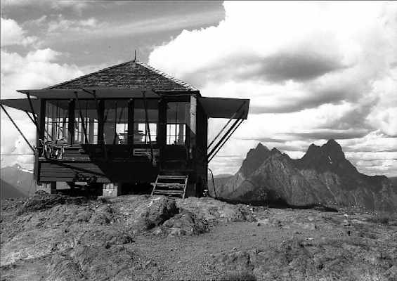 Dharma Bums