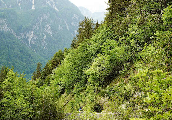 Hügellandschaft