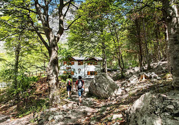 Eine idyllische Hütte mitten im Wald.