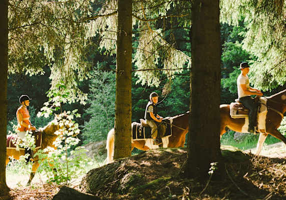 Ritt durch den Wald