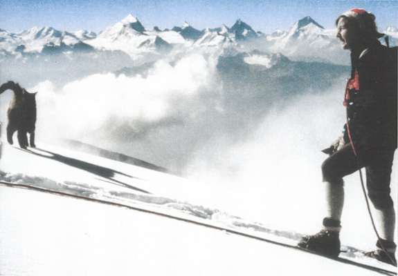 Kater Tomba auf dem Rinderhorn (1989)