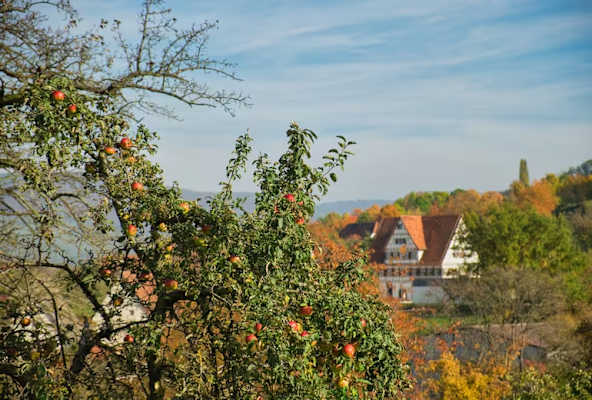 Beim Freilichtmuseum Beuren