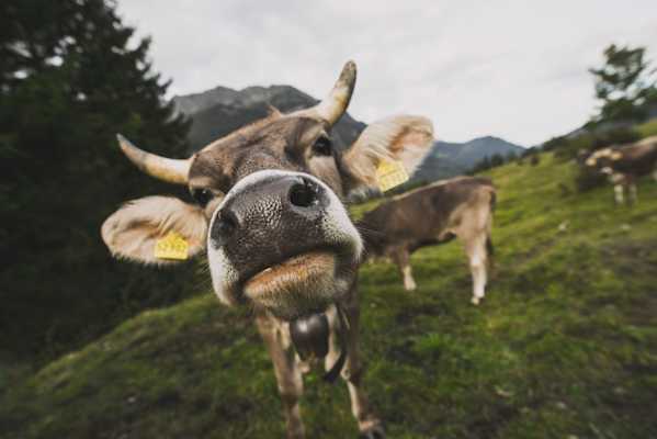 Fotostrecke Allgäu