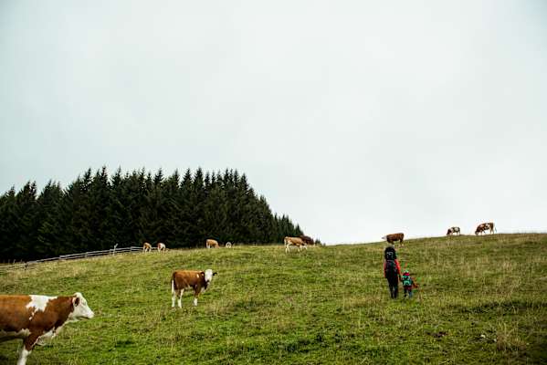 Teichalm Wandern