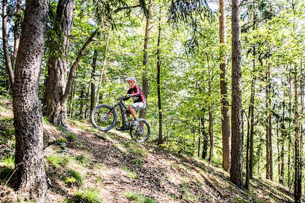 E-Bikes Nutzertypen