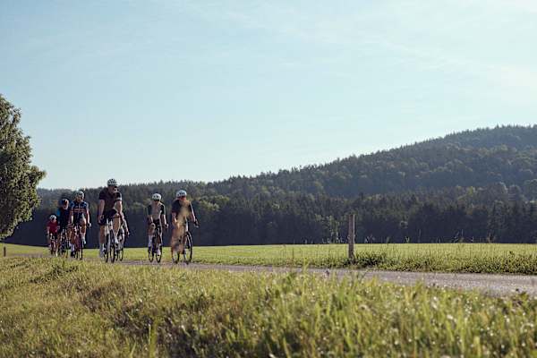 Bei der Bike Experience 2026 erkundest du gemeinsam mit Profis die schönsten Strecken im Mühlviertel in Oberösterreich.