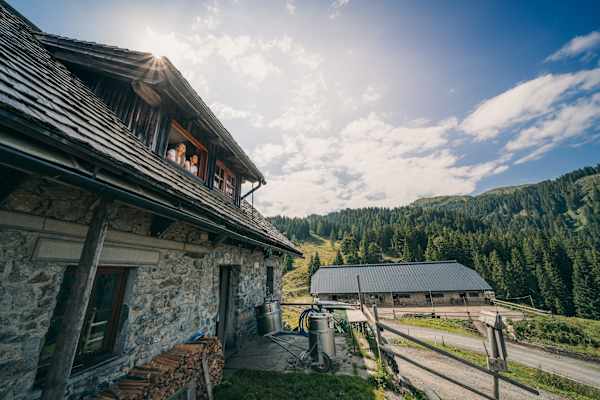 Milchstraße am Karnischen Kamm: urige, alte Alm mit Milchkannen