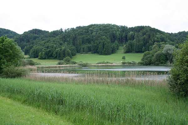 Der Bichelsee