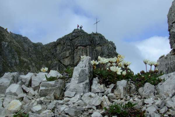 Allgäu: Ponten