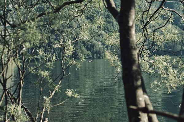 Die meisten Camper im Camp Zlatorog haben einen schwimmbaren Untersatz dabei: SUP, Kanu, Kajak, Fischerboot. Regeln gibt es nur wenige, das Gemeinschaftsgefühl überwiegt.