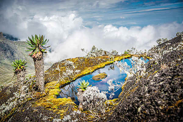 Mondberge Ruwenzori