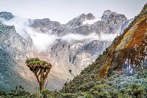 Mondberge Ruwenzori