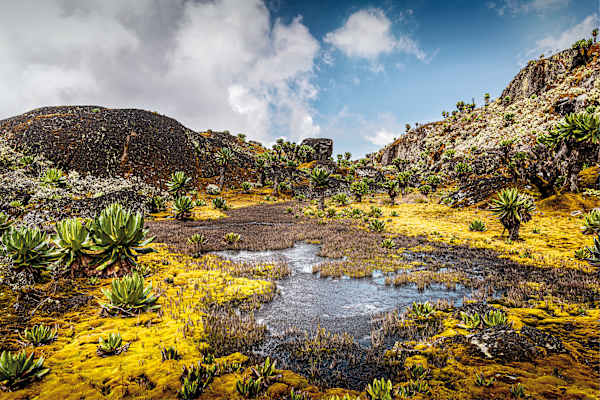 Mondberge Ruwenzori