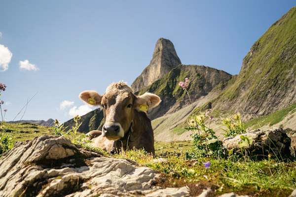 Fotostrecke Allgäu