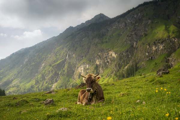 Fotostrecke Allgäu