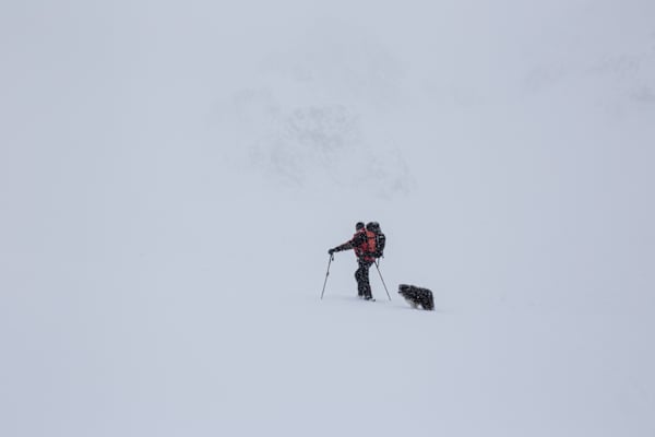 Lawinensuchhund: Lawinenhundestaffel Tirol
