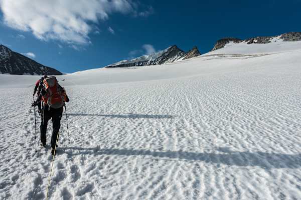 Seilschaft am Venedigerkees Gletscher am Großvenediger