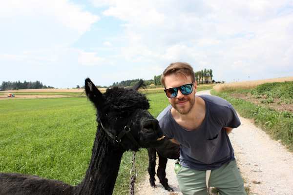 Alpakas Wandern