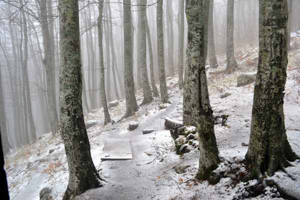 Kroatien Paklenica Nationalpark
