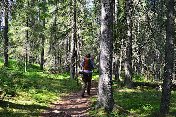 Skuleskogen Nationalpark Wandern