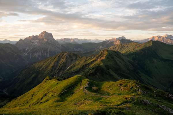 Grünhorn