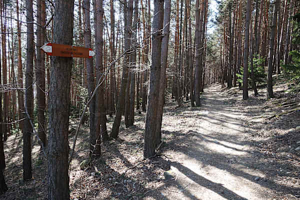 Der Keschtnweg in Südtirol