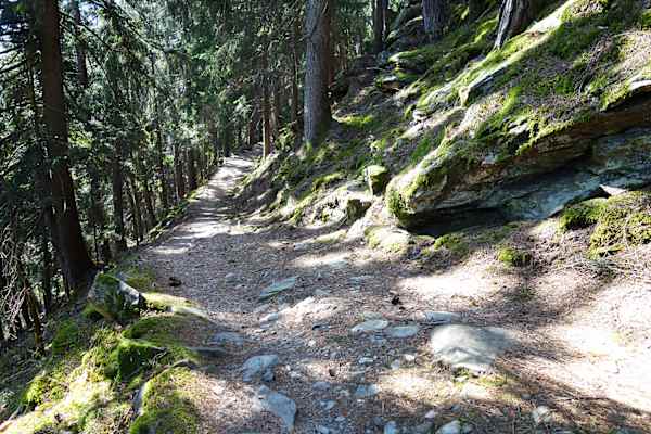 Der Keschtnweg in Südtirol