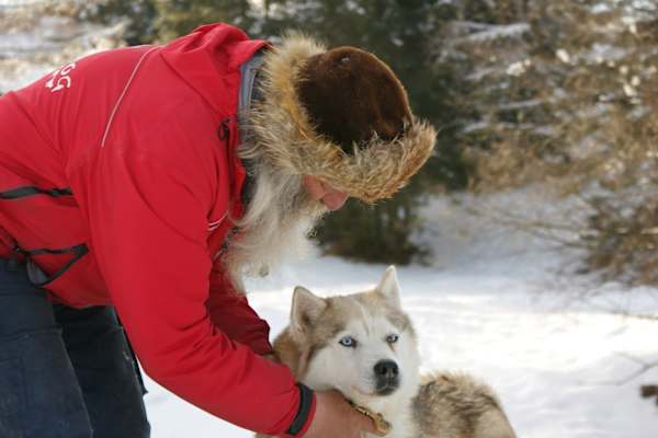 Huskys Tatra