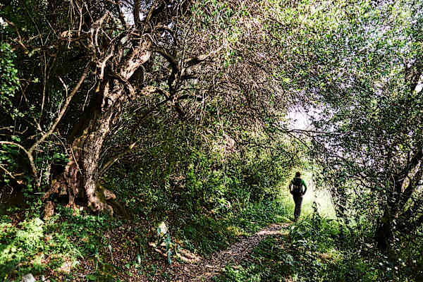 Reise Wandern Korfu