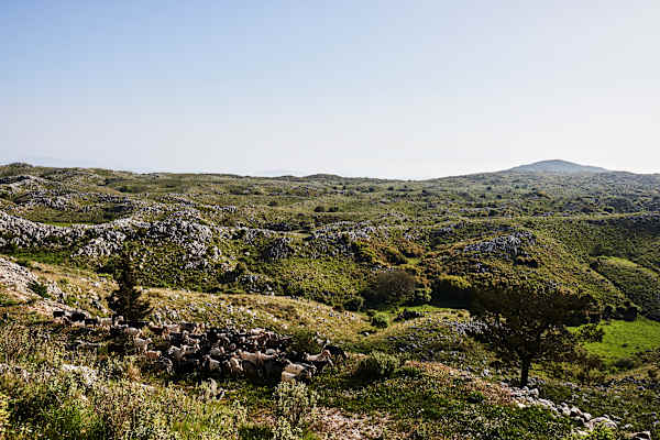 Reise Wandern Korfu
