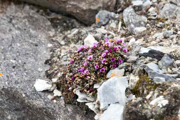Spitzbergen Reise