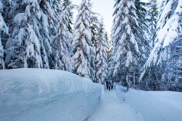 Seefeld Winterweitwanderweg