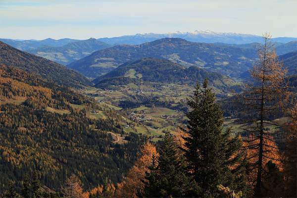 Steirische Krakau