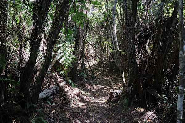 Reise Kuba Wandern