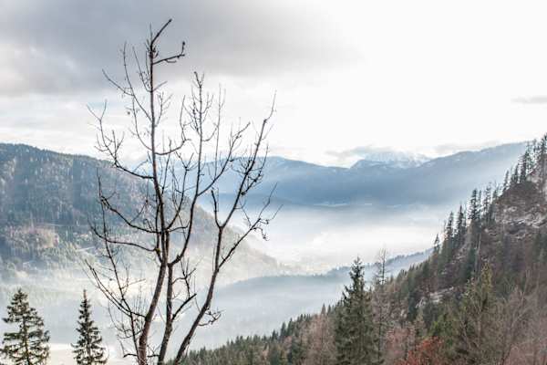 Nebel im Tal
