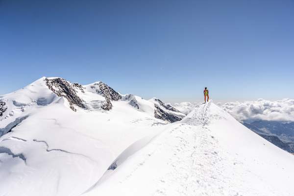 Felikhorn
