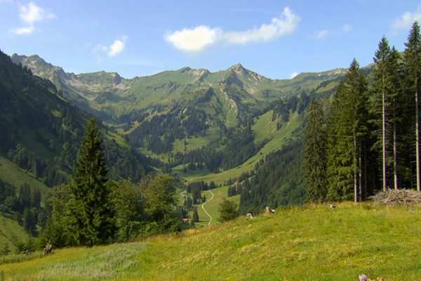 Umgebung der Schwarzenberghütte