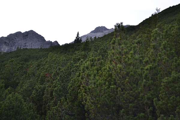 Die Wasserfallkarspitze beim Abstieg