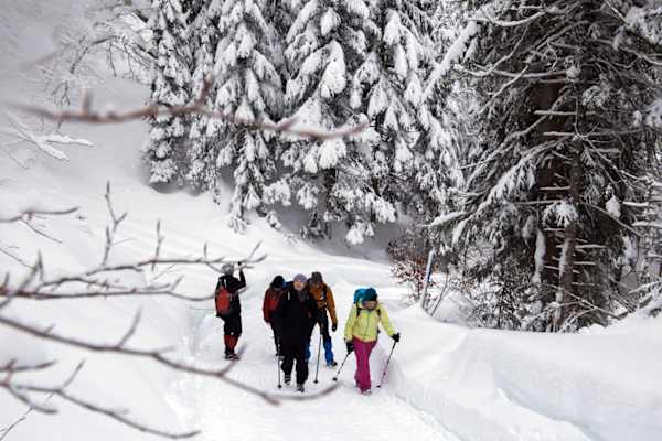Seefeld Winterweitwanderweg