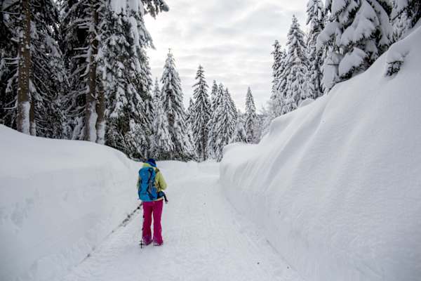 Seefeld Winterweitwanderweg