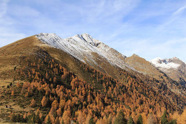 Preber Steiermark