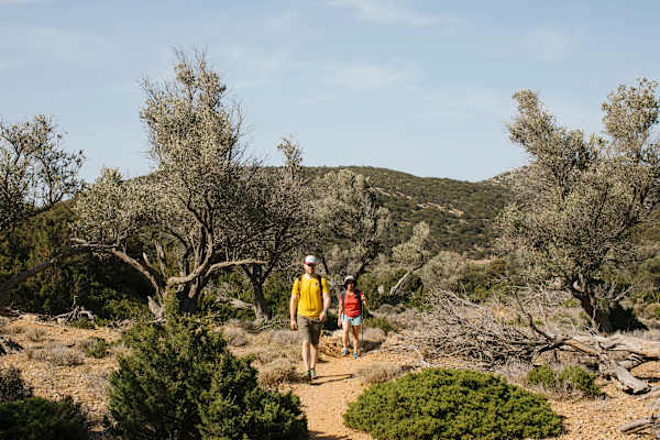 eholzknecht-240603-bergwelten-reisereportage_sifnos-2424_si202408300319