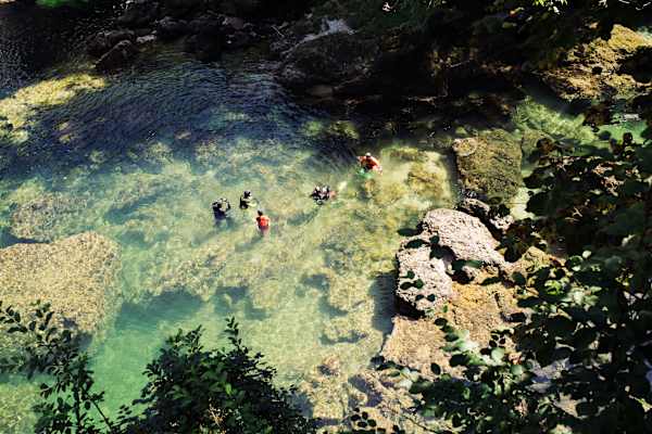 Flusstauchen in der Traun in Oberösterreich